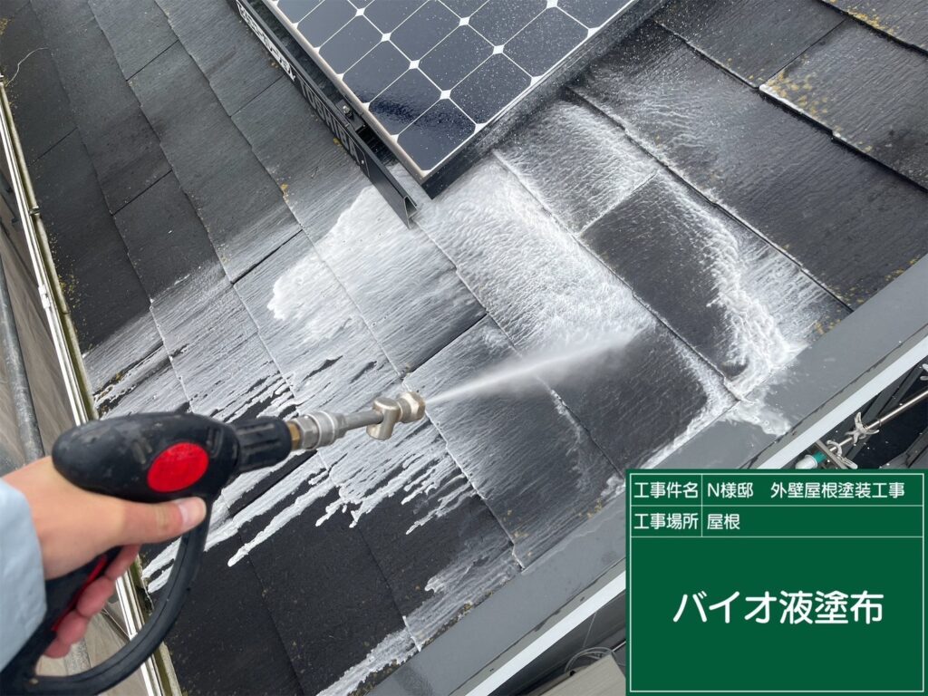 屋根バイオ洗浄